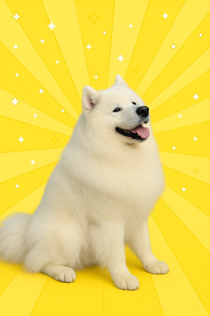 サモエドのサニー tweet media