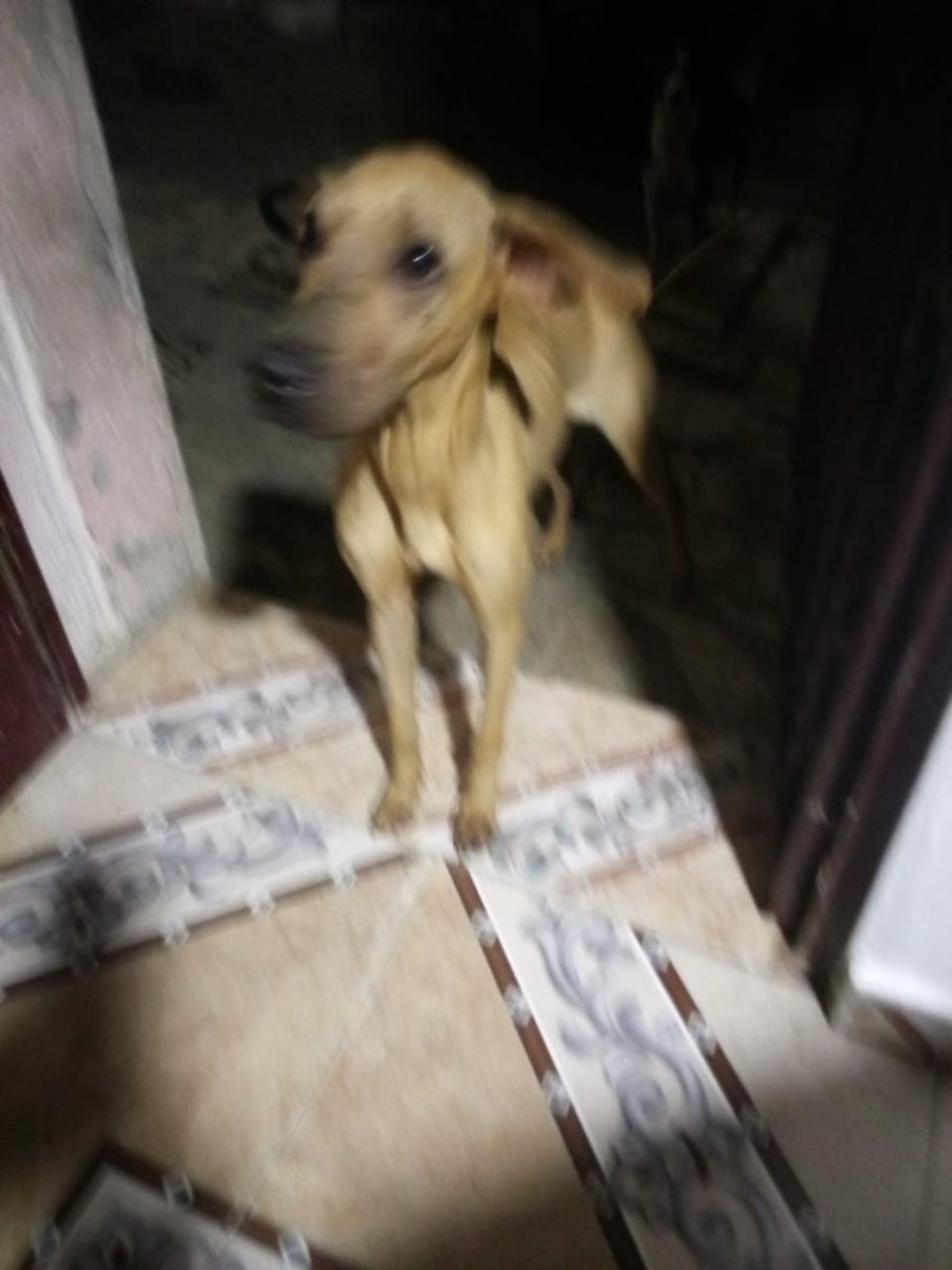 Marcela Gaviria tweet media