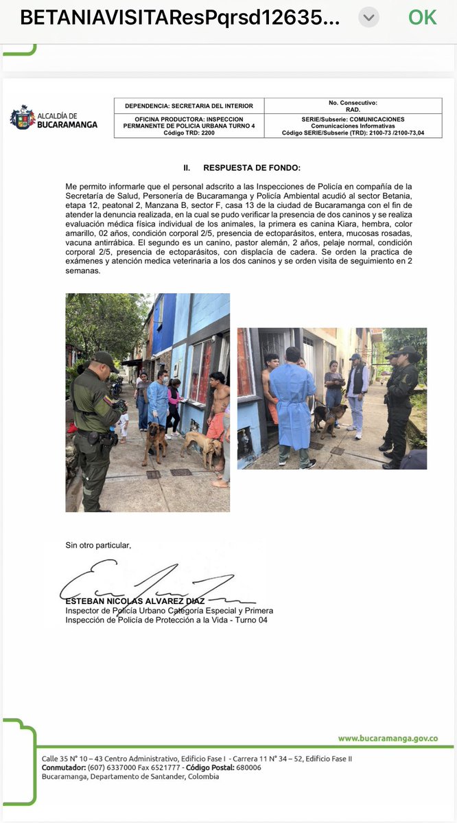 Marcela Gaviria tweet media