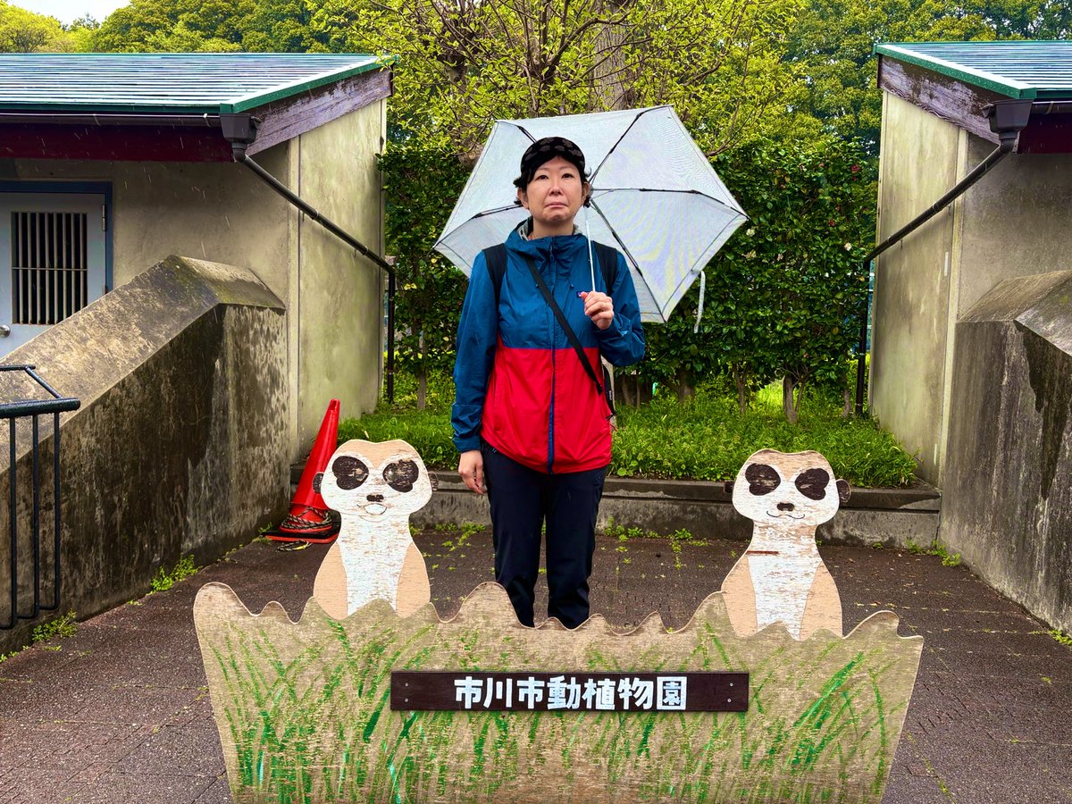 傳田うに tweet media