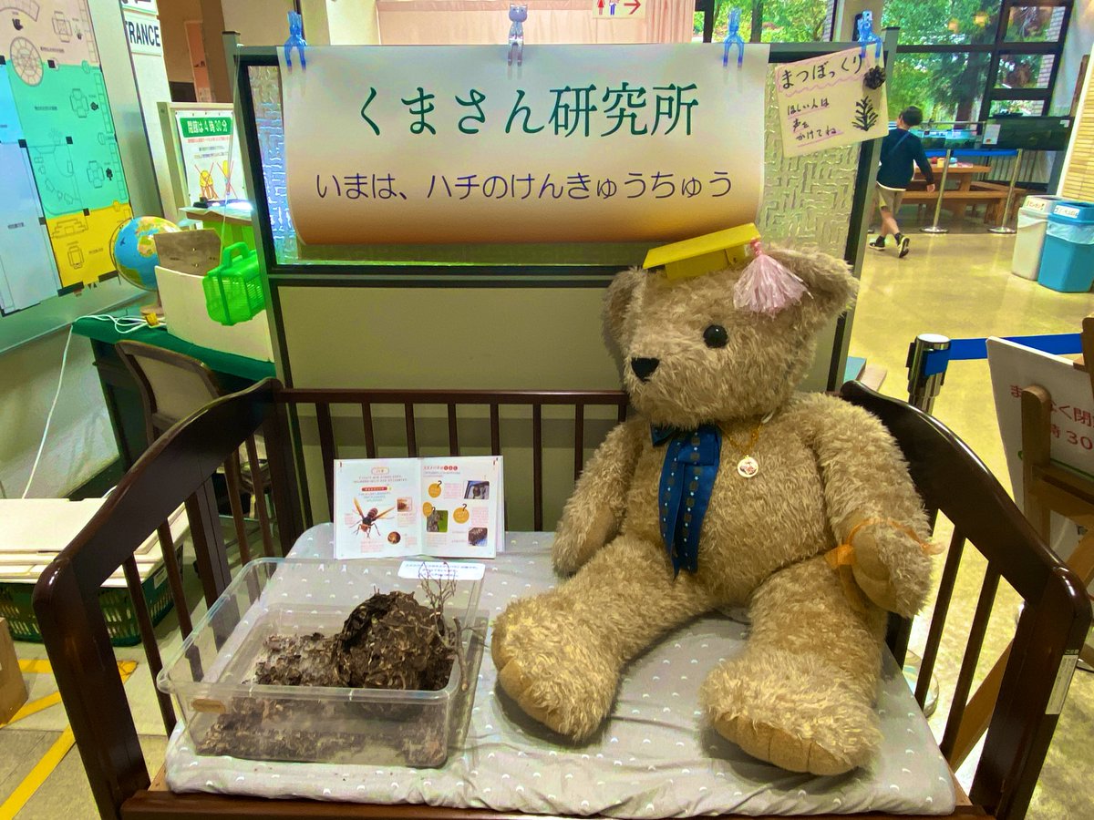 傳田うに tweet media