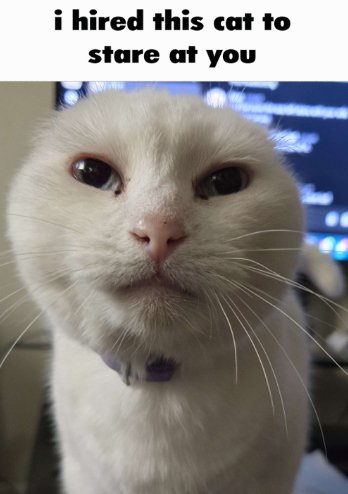 STRONG the Muscle Wizard tweet media