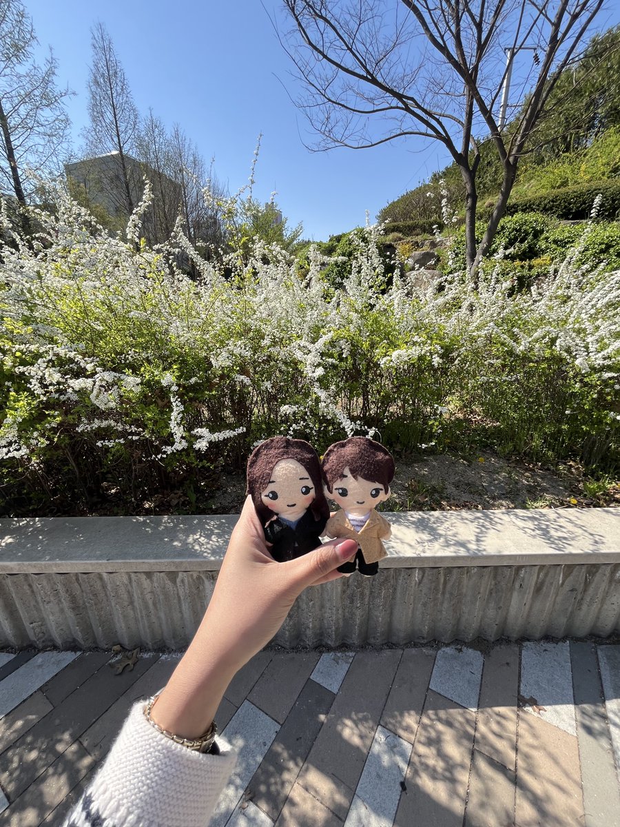 kring⁺⁺⁺ ◡̈♡ tweet media