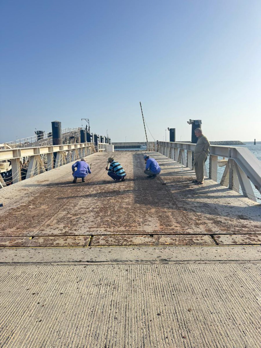 نفذ مركز التنمية السمكية بجزر الحلانيات بالتعاون مع الخدمات البلدية، حملة نظافة شاملة بميناء الصيد، شملت إزالة الشباك العالقة وأقفاص الأسماك والقوارب غير الصالحة إلى جانب أعمال صيانة تمثلت في معالجة وتأهيل الأجزاء الحديدية بالميناء .