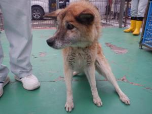 びーとも tweet media