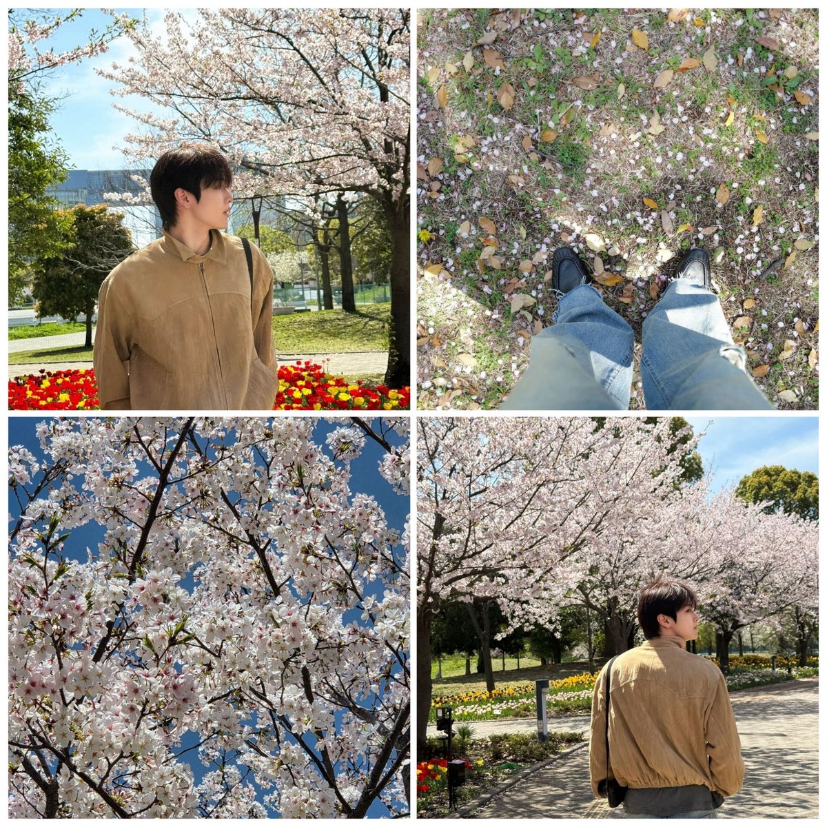 peachfairys12's tweet photo. Cie cie pacaran cie #ssungdaeng 🌸 https://t.co/E4lS2Lbzzv