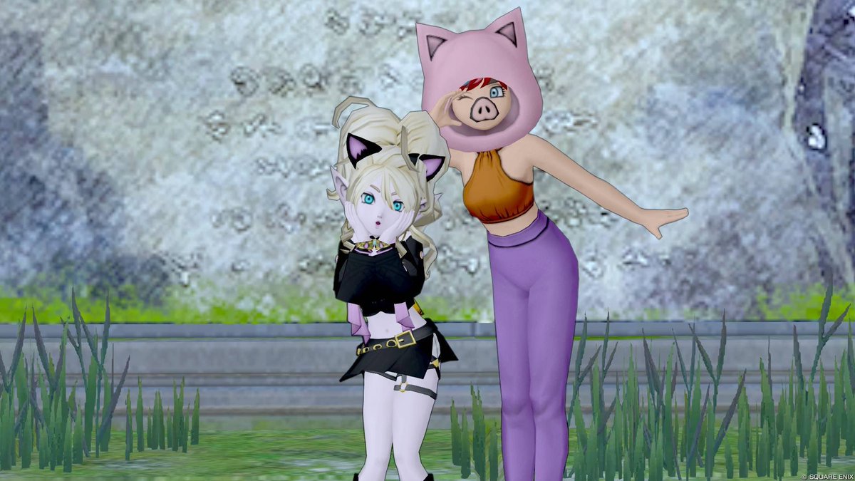 たぬき🌻´-Alcordsのアル担当ᥫᩣ ̖́- tweet media