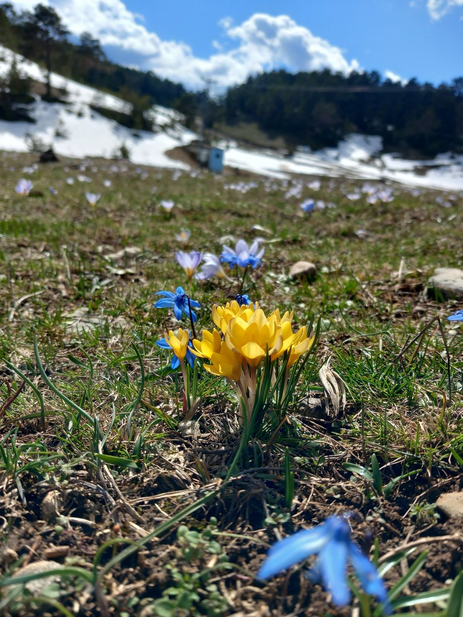 semakdnz ☀️ tweet media