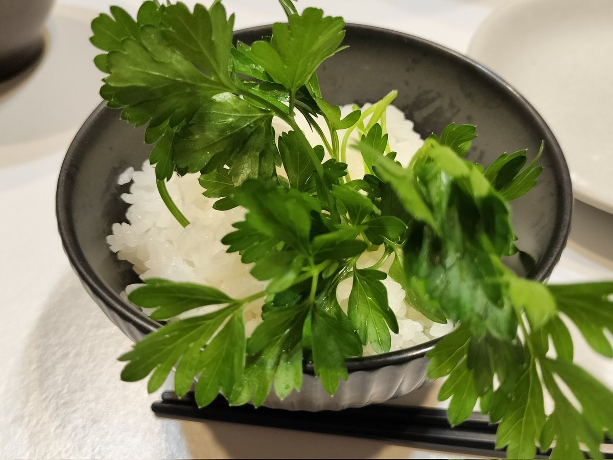 かっちゃん tweet media