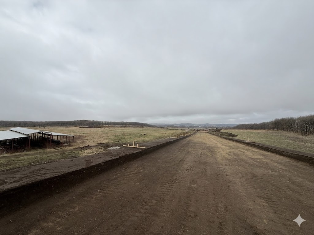 Blooming Horse Club(ブルーミングホースクラブ) (公式) tweet media