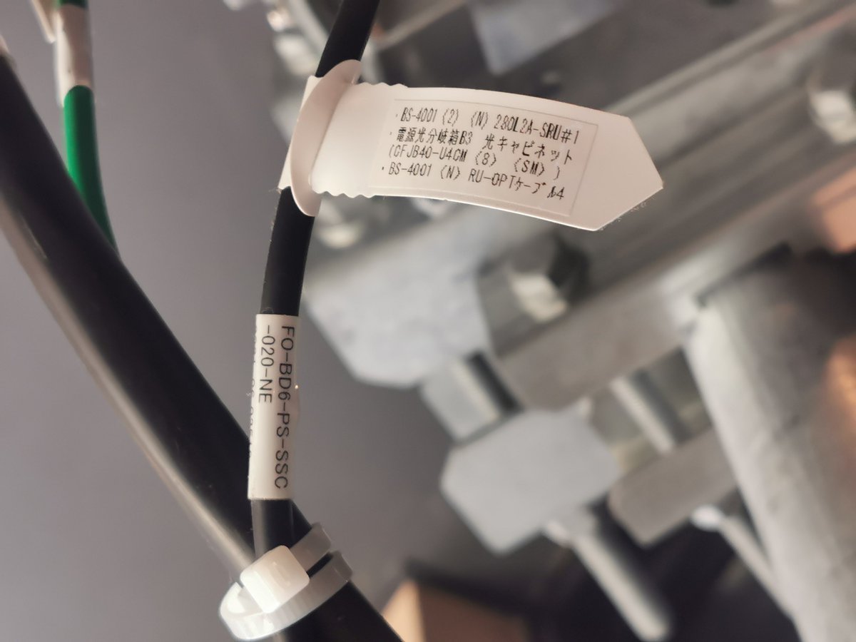 電波やくざ tweet media