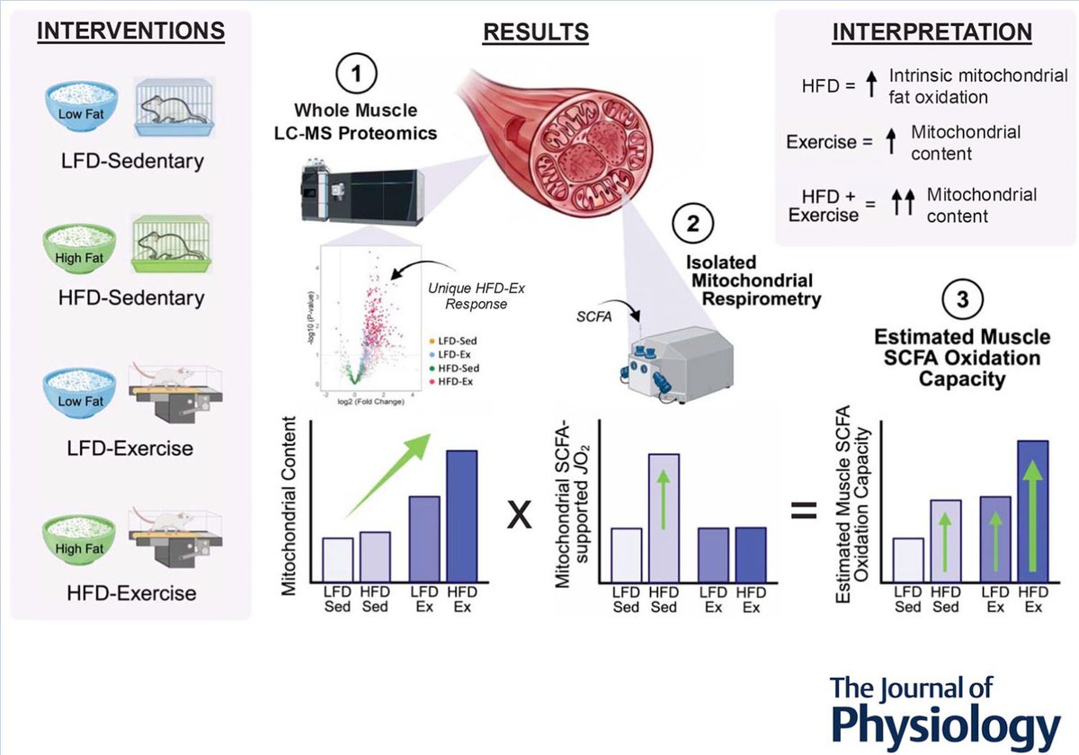 David Bishop (🦋 also bluespotscience.bsky.social) tweet media