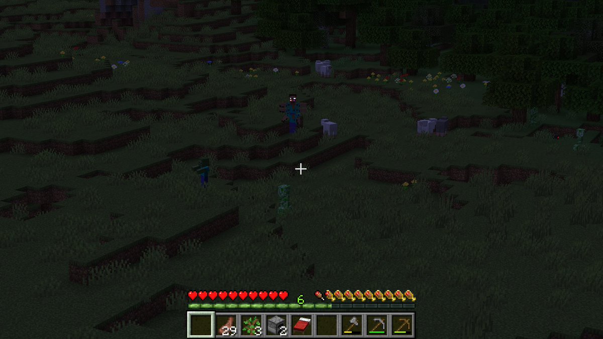 • Bade • 🏳️‍🌈🦈 tweet media