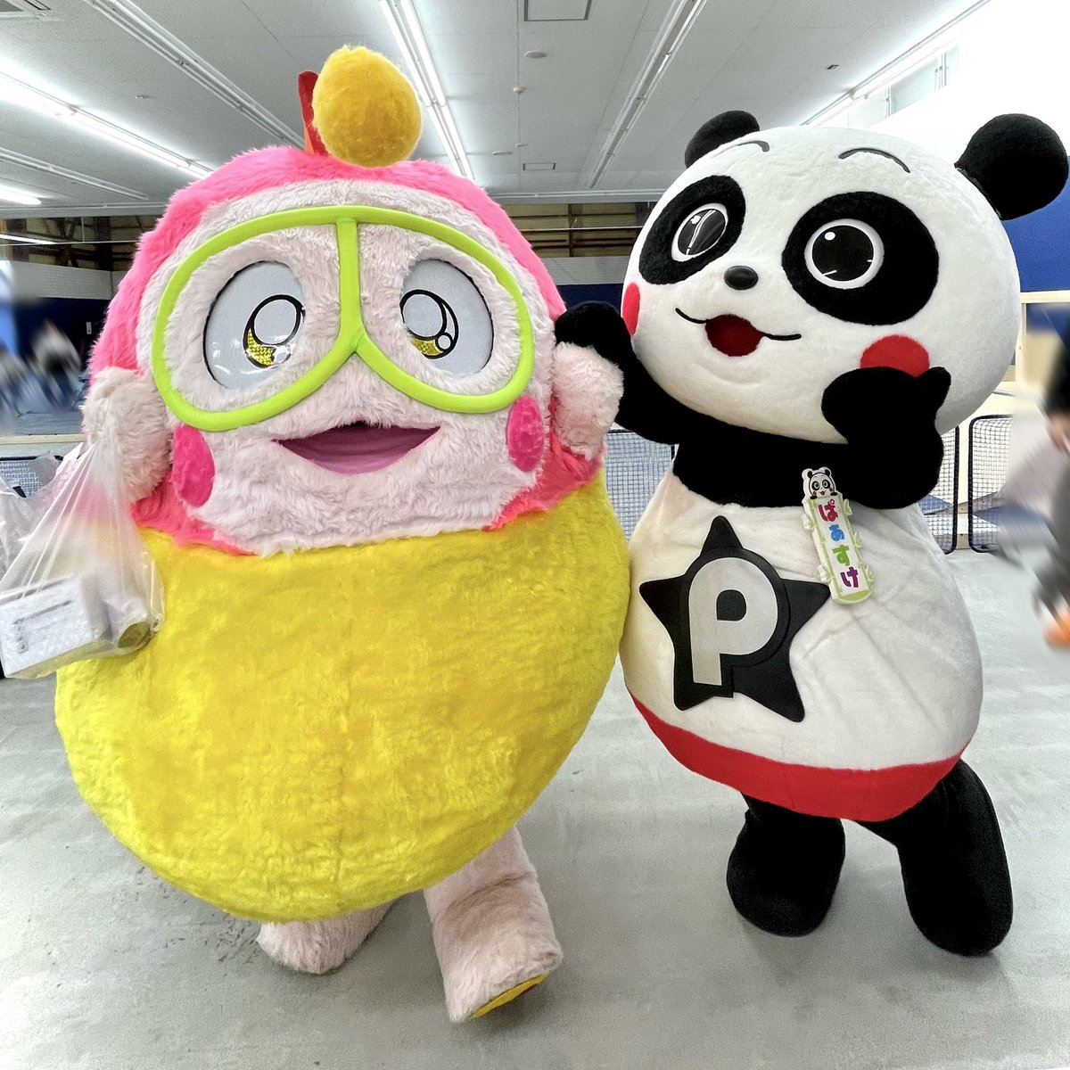 かにこ隊長🐠プク丸ちゃんマネージャー tweet media