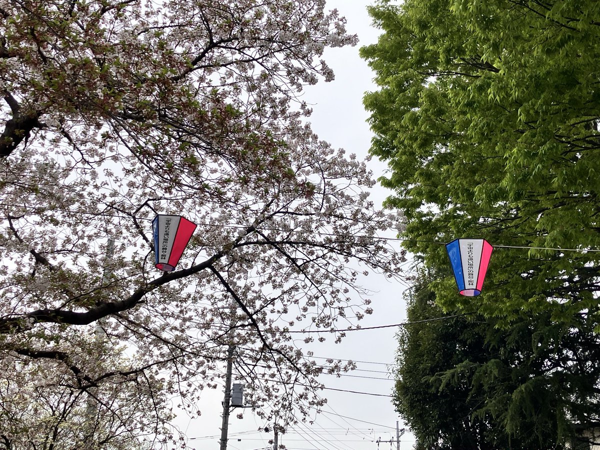 ゆう☆スプリント tweet media