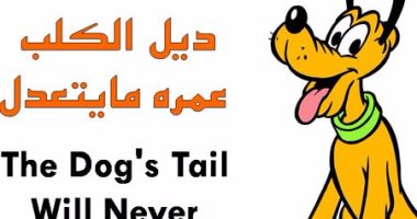 ABDOU DAHMANE tweet media