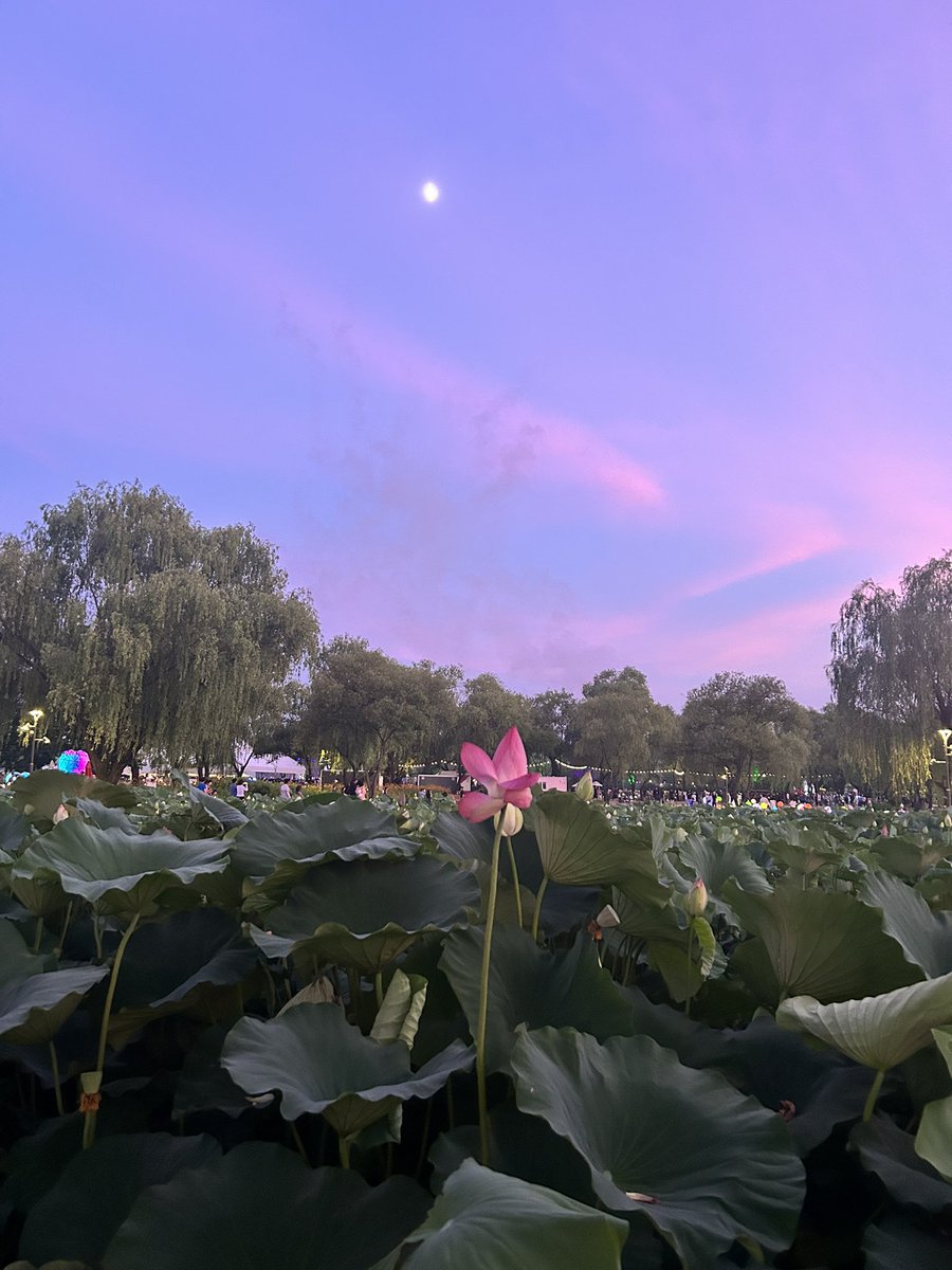 비해피 tweet media