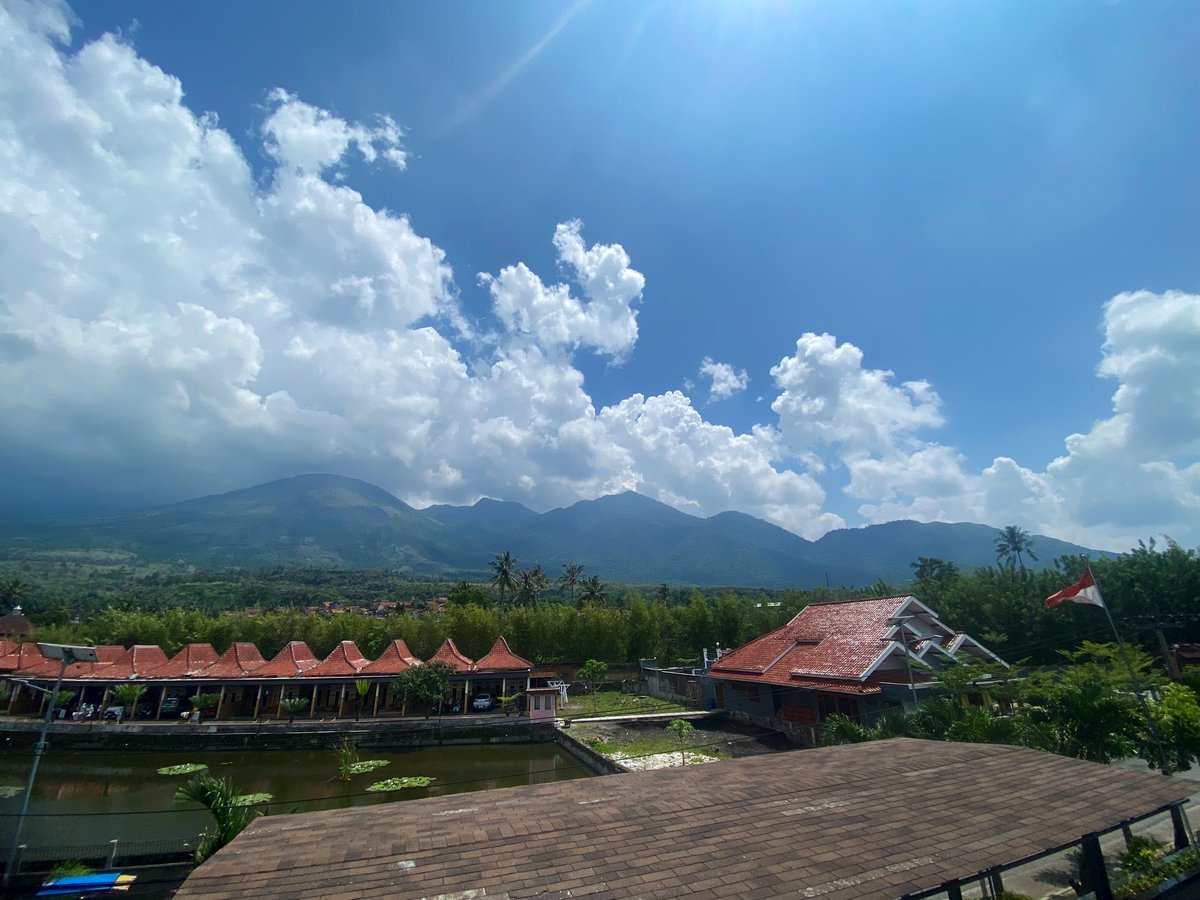 neverwalkalone tweet media