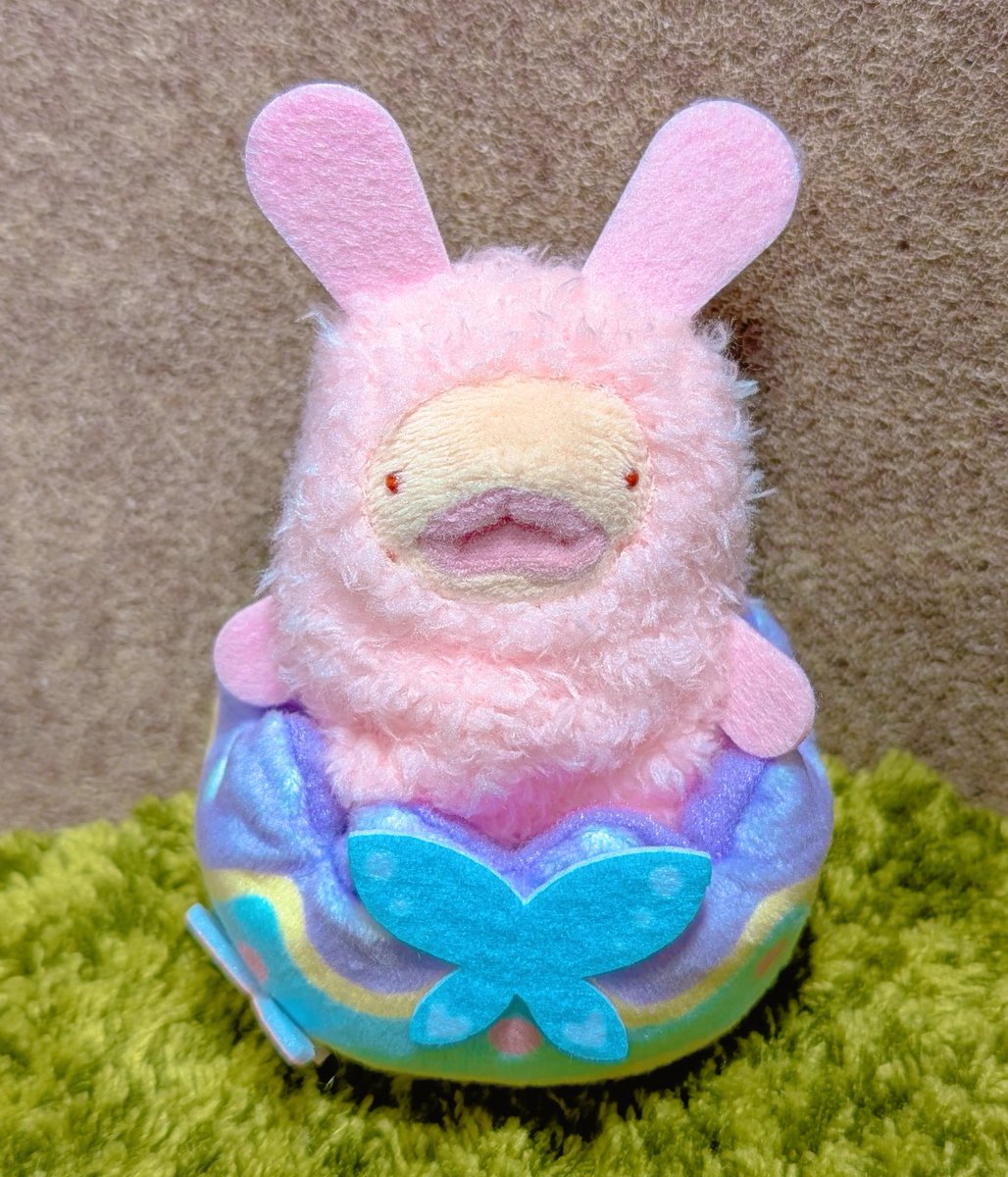 あすな@いろいろ増殖中 tweet media