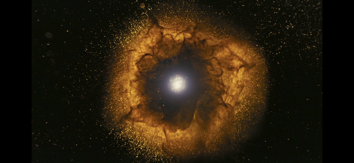 skywalker.🇵🇹 🅴 tweet media