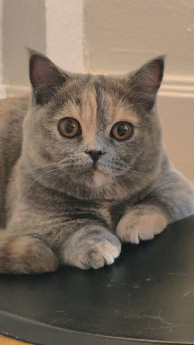 huhu 🏰🐻🔥🌱 tweet media