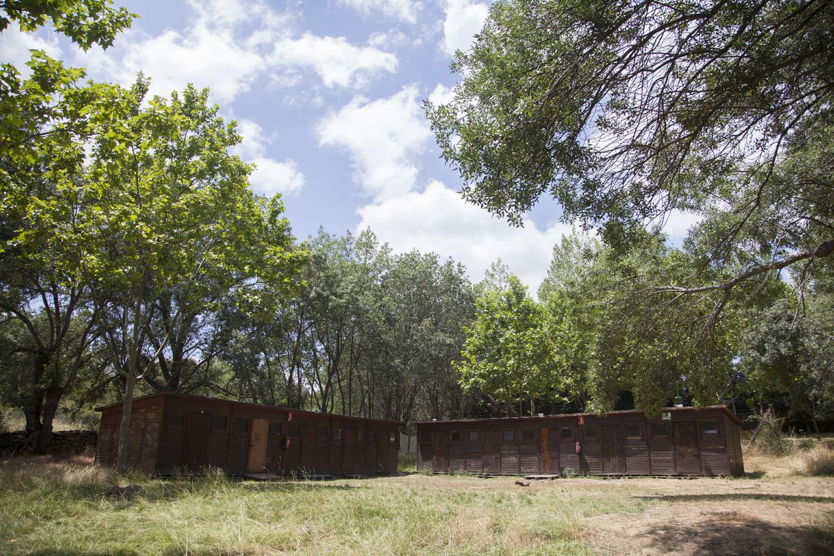 SierraNortecom's tweet image. Campamentos de verano, viajes de fin de curso... en Albergue Sierra Norte Manjirón😍 SierraNorte.com/alberguesierra…

Con 146 plazas de albergue, 126 plazas en cabañas de madera y 20.000 m2 de zona verde

#campamento #verano #madrid #sierrademadrid #SierraNorteMadrid #SierraNorteDeMadrid