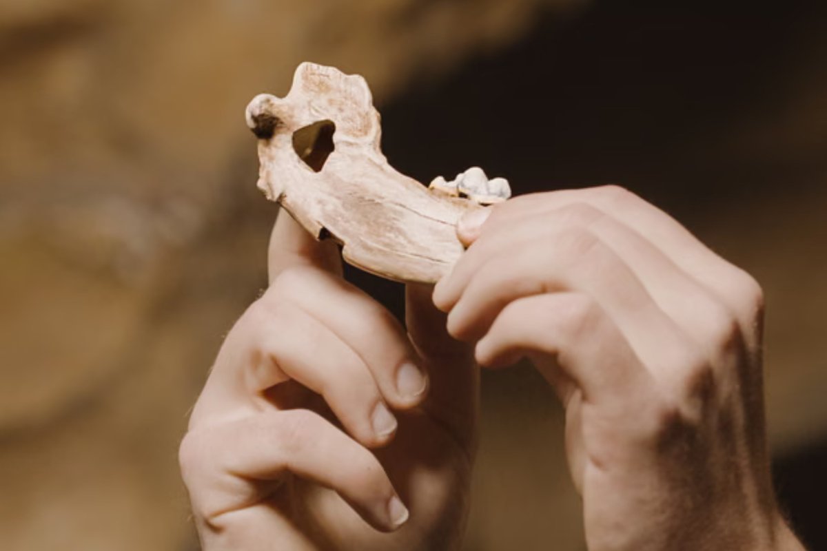 arkeolojihaber ® tweet media