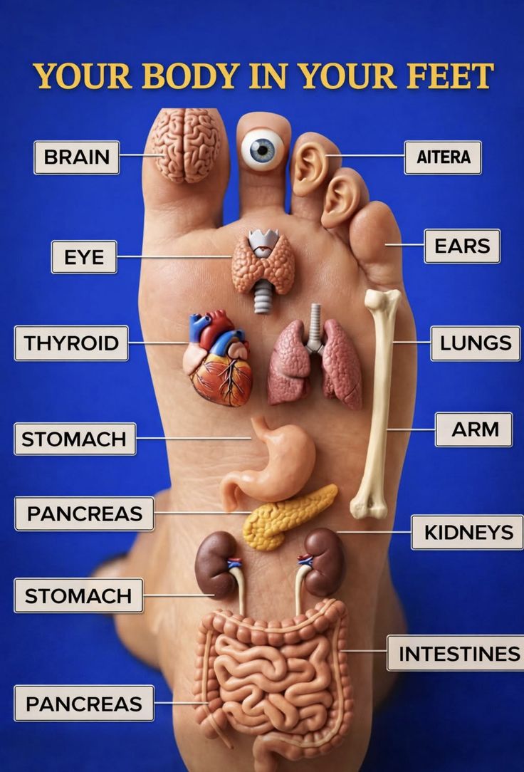 Things Worth Learning tweet media