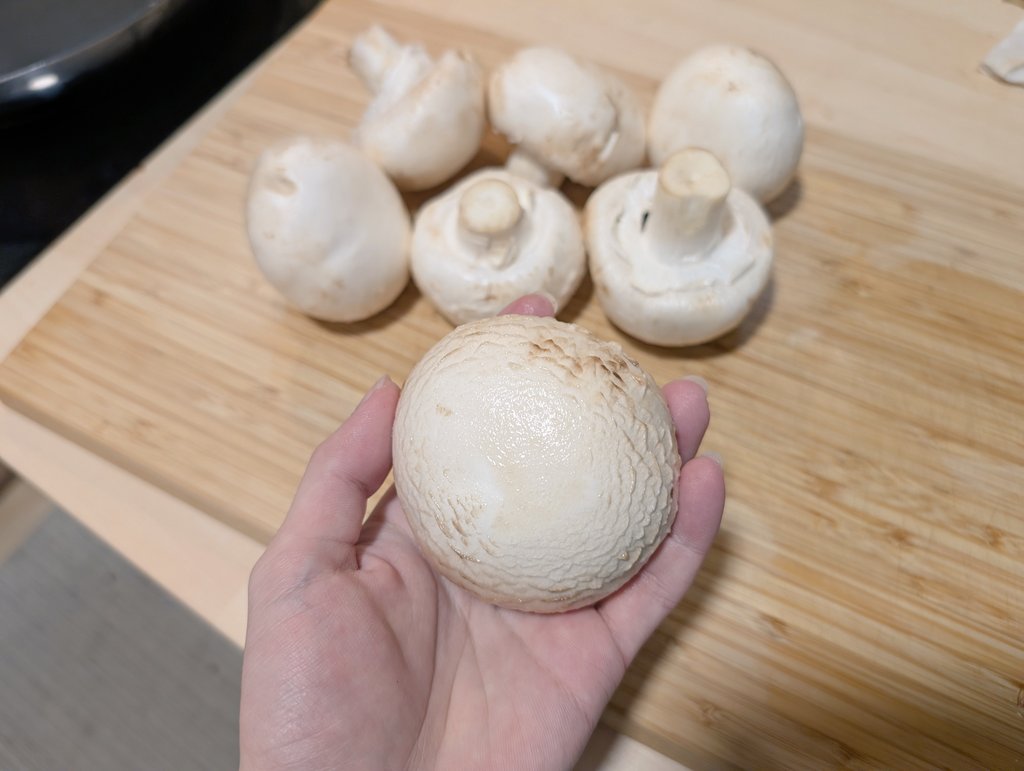 🍭Mario🐈 tweet media