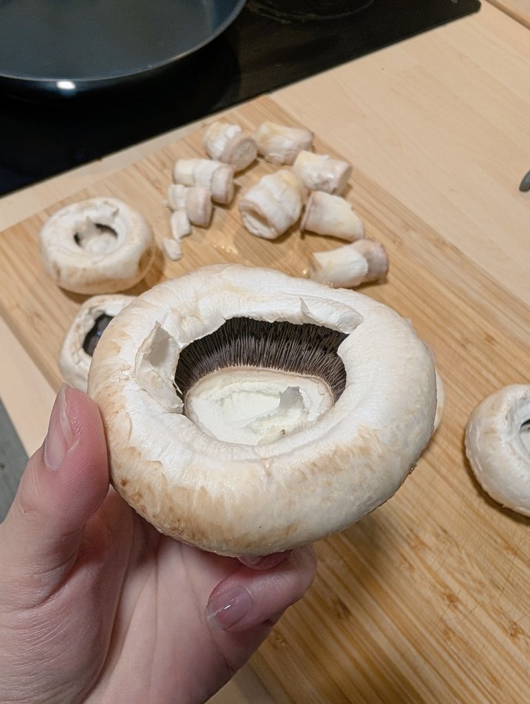 🍭Mario🐈 tweet media