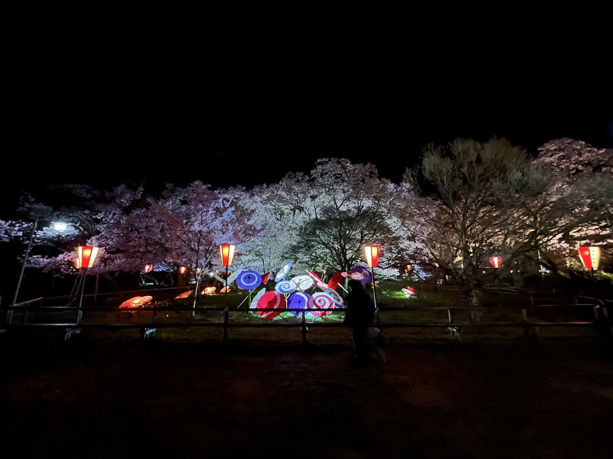 CUBRA75's tweet photo. 高遠の桜🌸 https://t.co/am0P7yq98Y