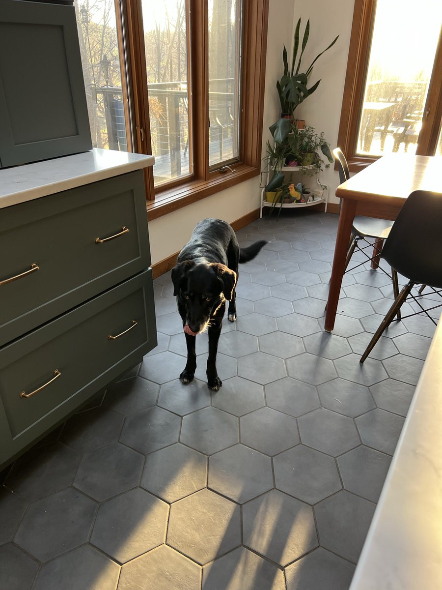 Christen (this is my indoor voice) Rexing,PhD,MPH tweet media