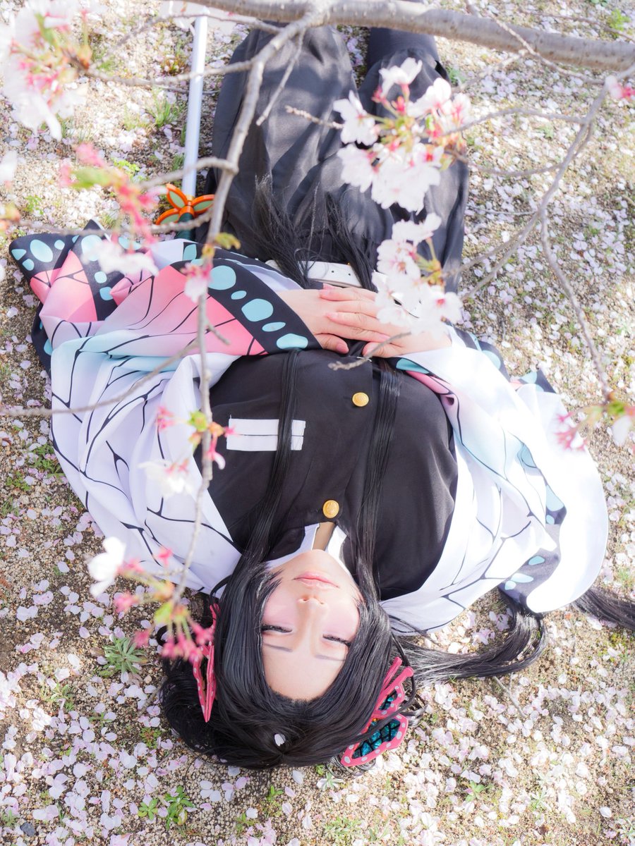 ちっぷ tweet media