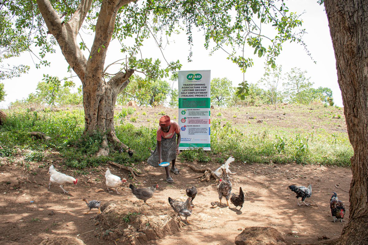 Agency for Accelerated Regional Development-AFARD tweet media