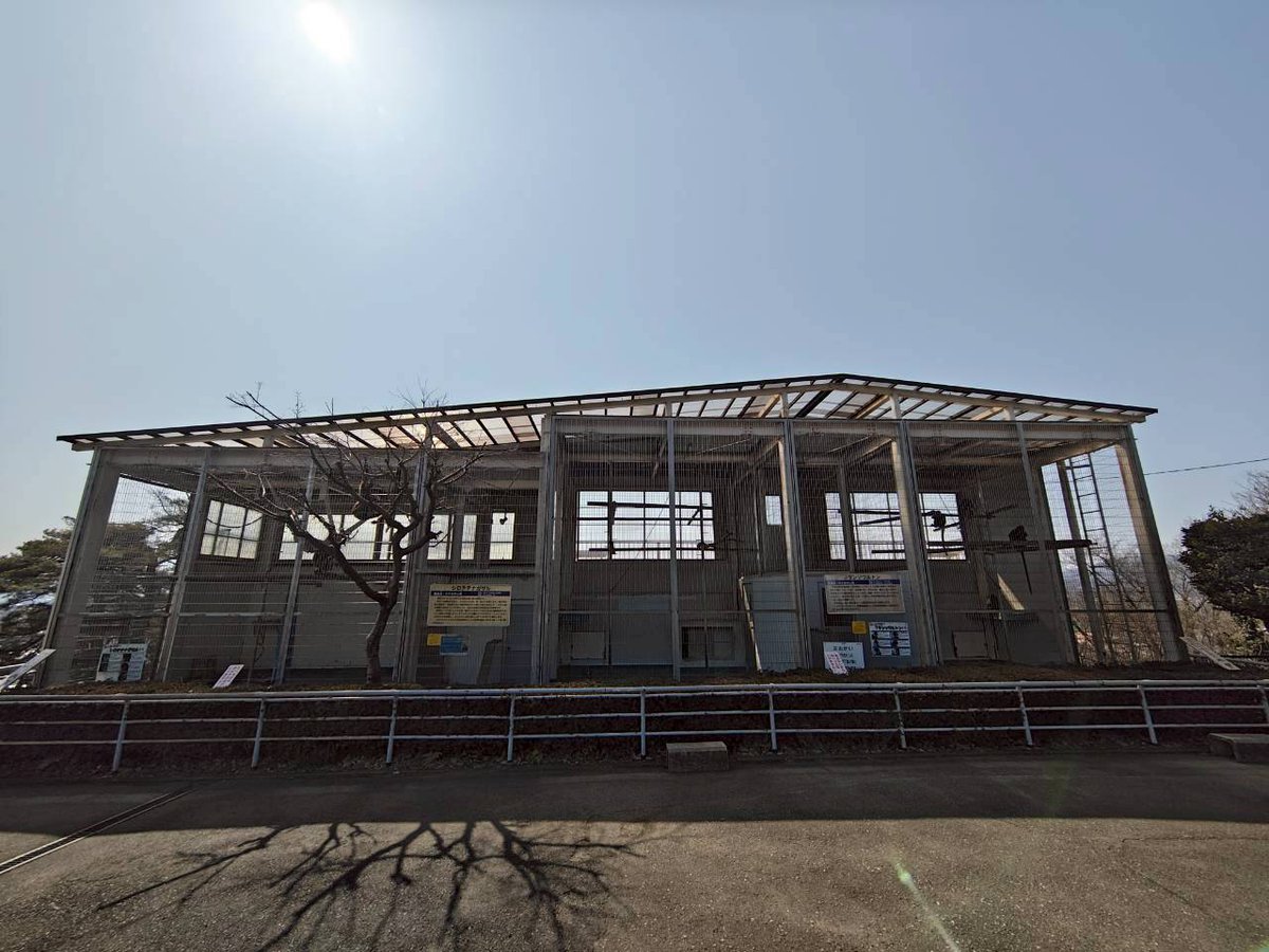 JAZAの適正施設ガイドラインに適していない為、今後の方向性を決める将来構想委員会を設置中の鯖江市。
実際先月現地みましたが、シロテテナガザル、フランソワルトン、自然物なく厳しすぎます。どうか飼育中止の決定を。予算はレッサーパンダが中心でしょう。
#西山動物園 #鯖江市