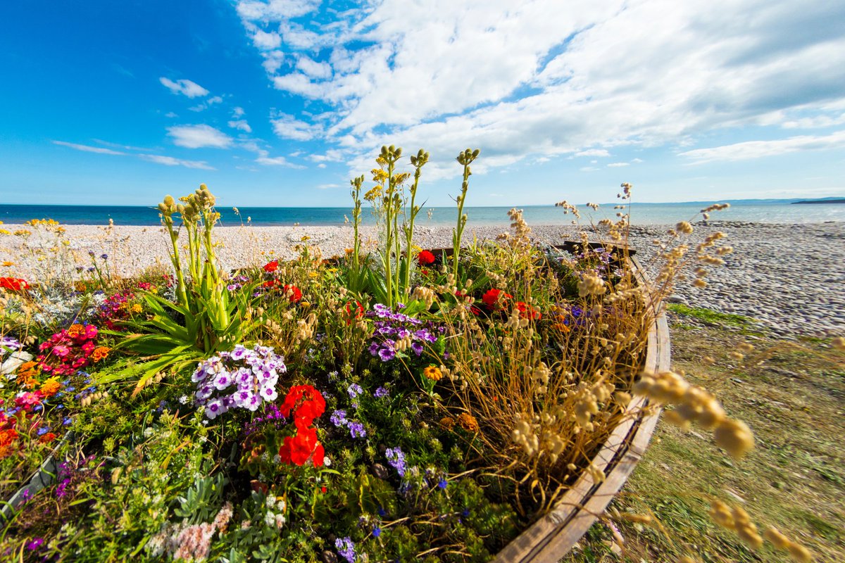 Visit Budleigh Salterton tweet media