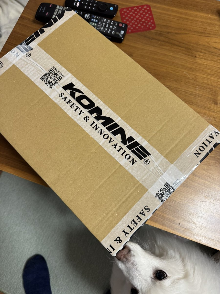 藪犬大回転@バイクとキャンプ tweet media