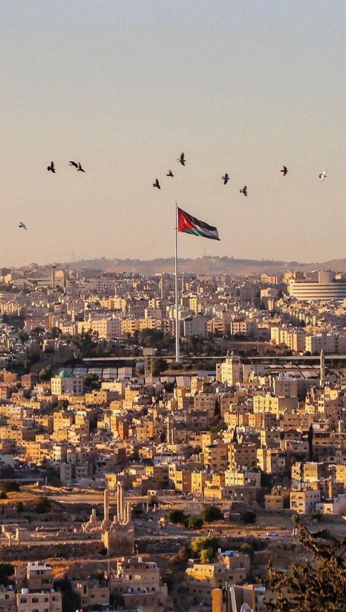 Mike moukarzel tweet media