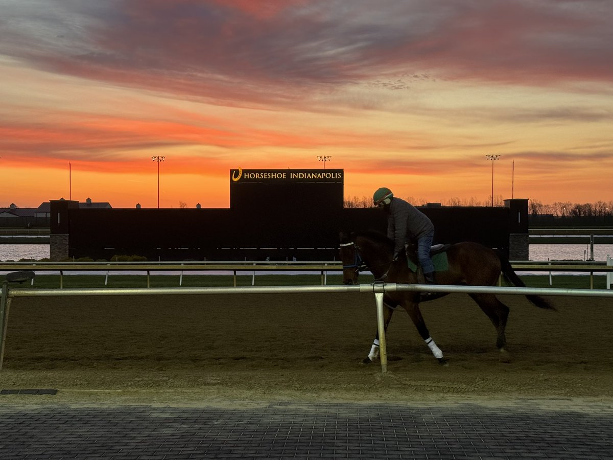 ericahalstrom's tweet photo. Day 1 of 123 today @HSIndyRacing This Team loves racing and we’ve added high-end handicapping talent to help @RacingRachelM @MrBAnalyst @JohnGDooley Indiana Derby July 11th @fatbaldguyracin @MattCTVG @TheBigAStabile 🇺🇸 https://t.co/pa1BFPSD74