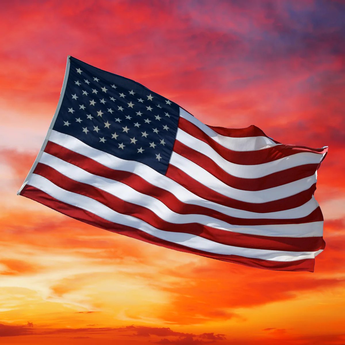 Whale Insider tweet media