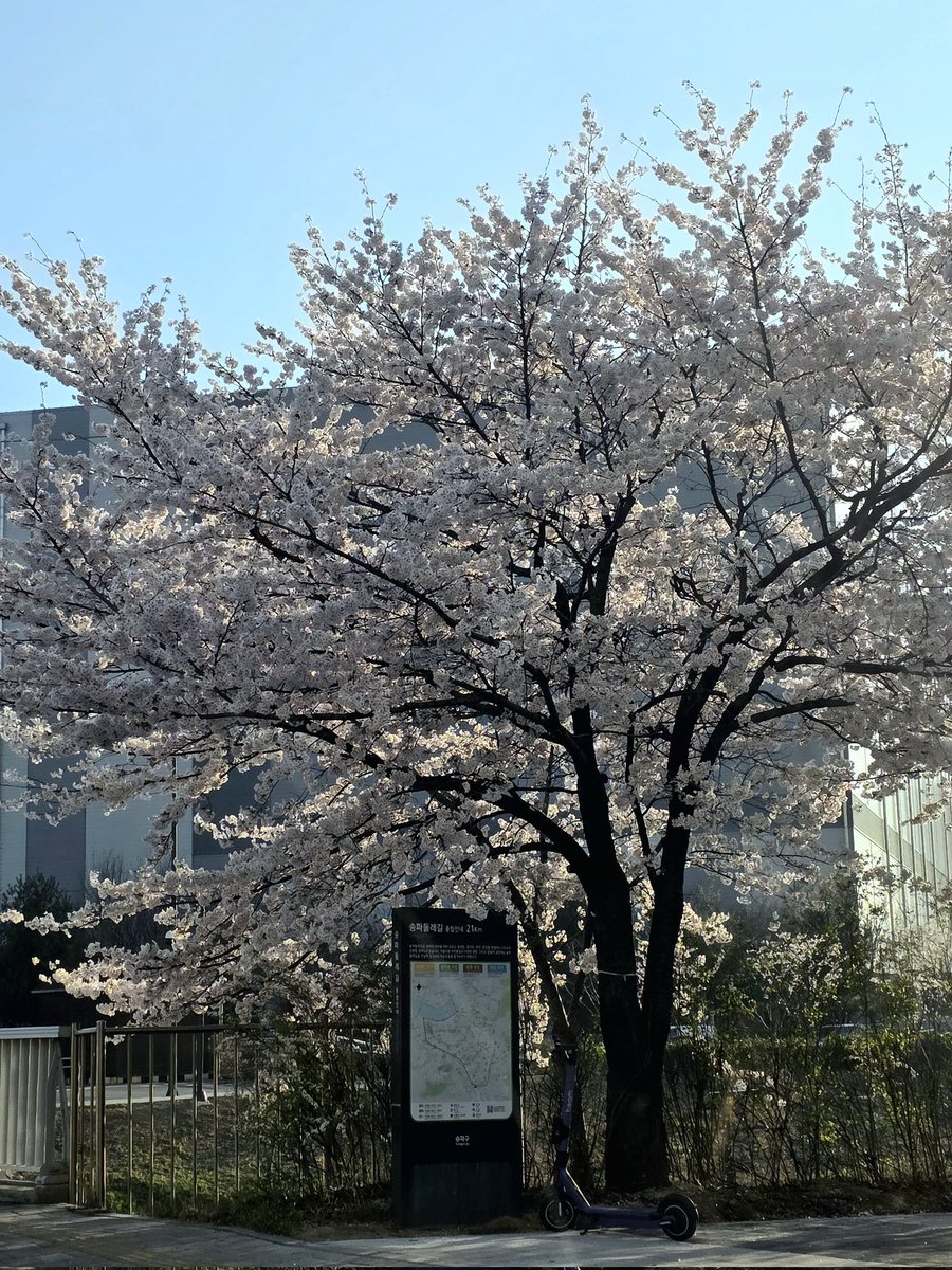 อีนานูนา라뷰🇰🇷 tweet media