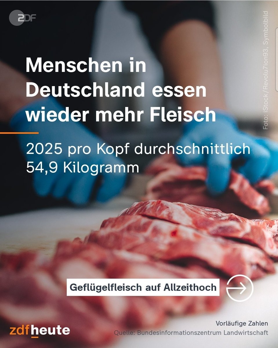 VolkerKetzer tweet media