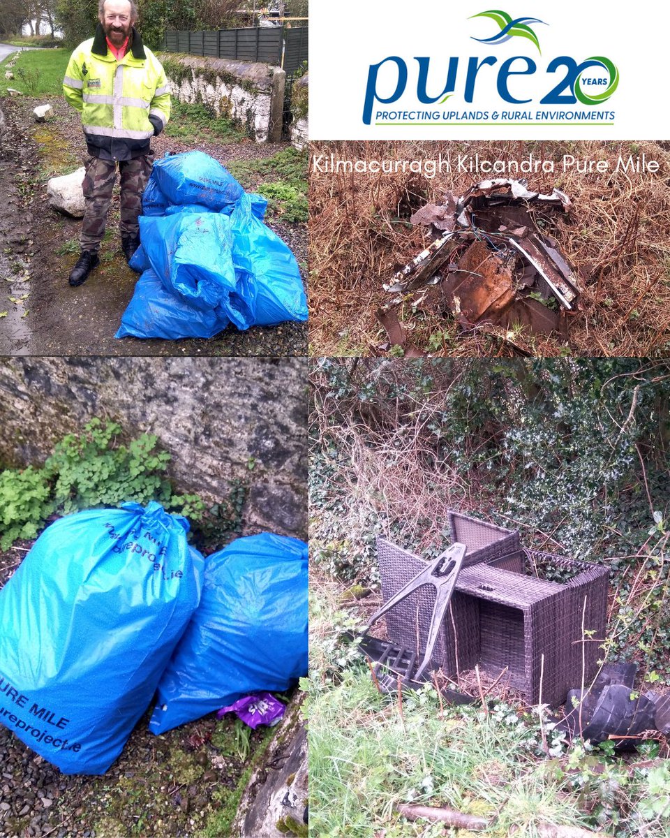 Pure Project tweet media