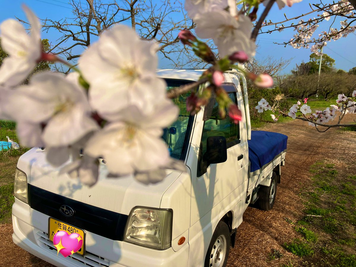 小城好事(おぎさぼ)ゾンビィ🧟♀️ tweet media