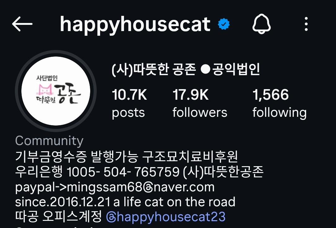 kdoutfit_officialx tweet media