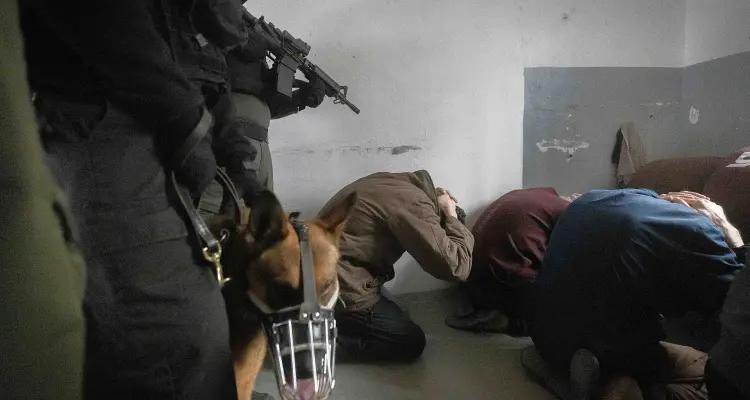 Motasem A Dalloul tweet media