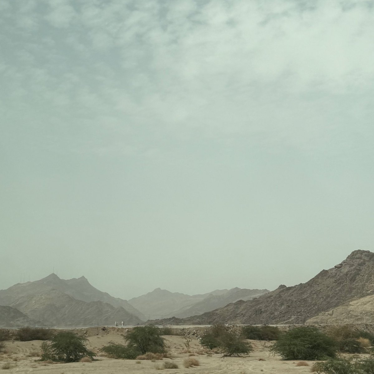 NS | إمتنان آحمد 🩺 . tweet media