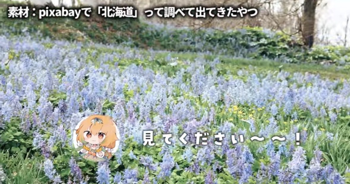 甜瓜あん tweet media