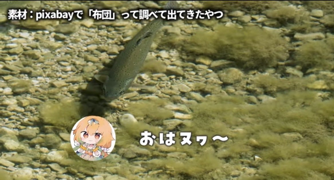 甜瓜あん tweet media