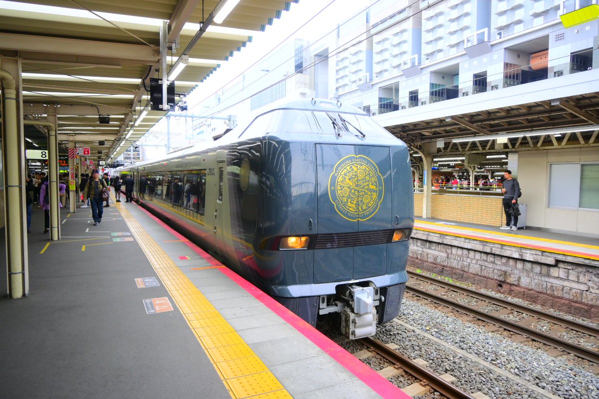 コイ太郎 tweet media